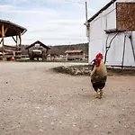Boldizsár Lovas Ház Apartamento Cserepfalu