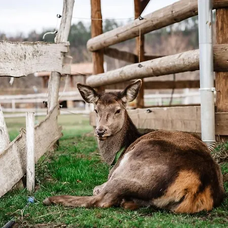 Boldizsar Lovas Haz Cserepfalu