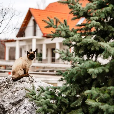 Boldizsar Lovas Haz Cserepfalu