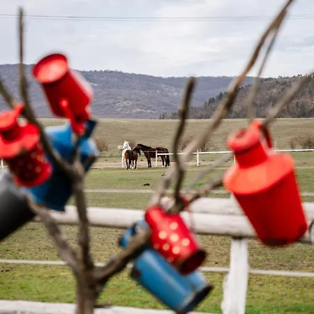 Boldizsar Lovas Haz Apartament *