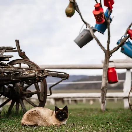 Apartament Boldizsar Lovas Haz Cserepfalu