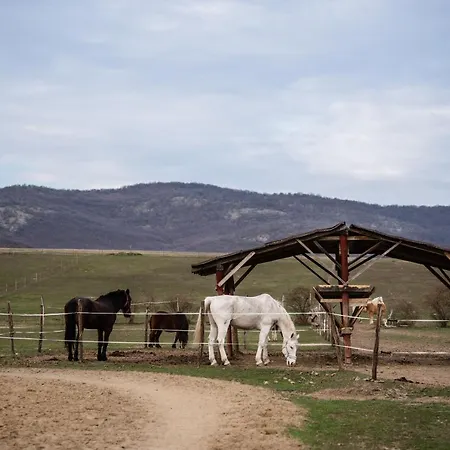 Boldizsar Lovas Haz * Cserepfalu