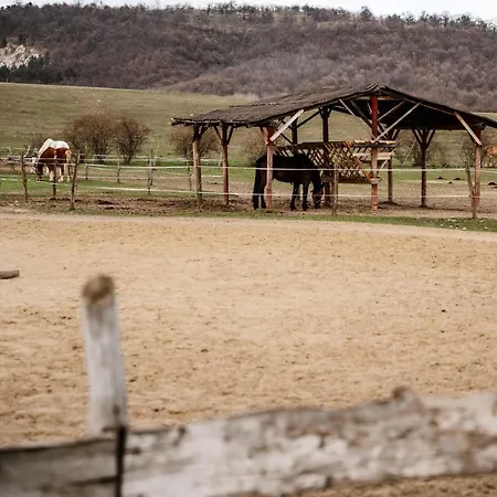 Boldizsar Lovas Haz * Cserepfalu