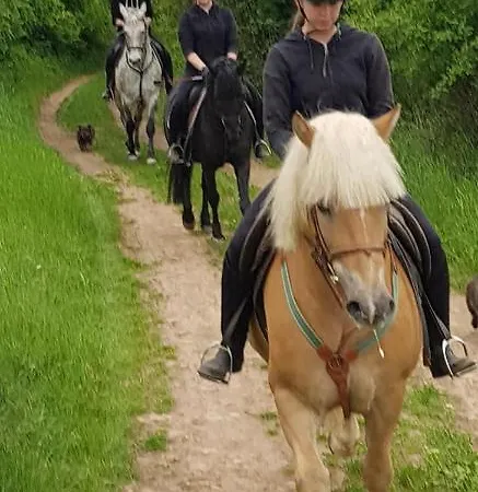 Apartament Boldizsar Lovas Haz