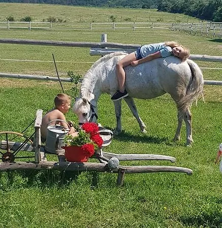 Boldizsar Lovas Haz *