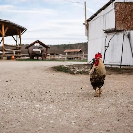 Boldizsar Lovas Haz アパート Cserépfalu