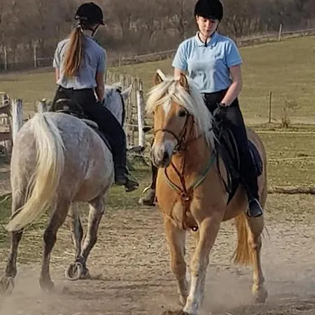 アパート Boldizsar Lovas Haz