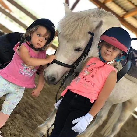 Boldizsar Lovas Haz *