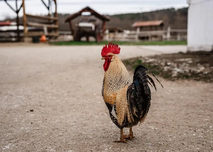 Boldizsár Lovas Ház Cserepfalu