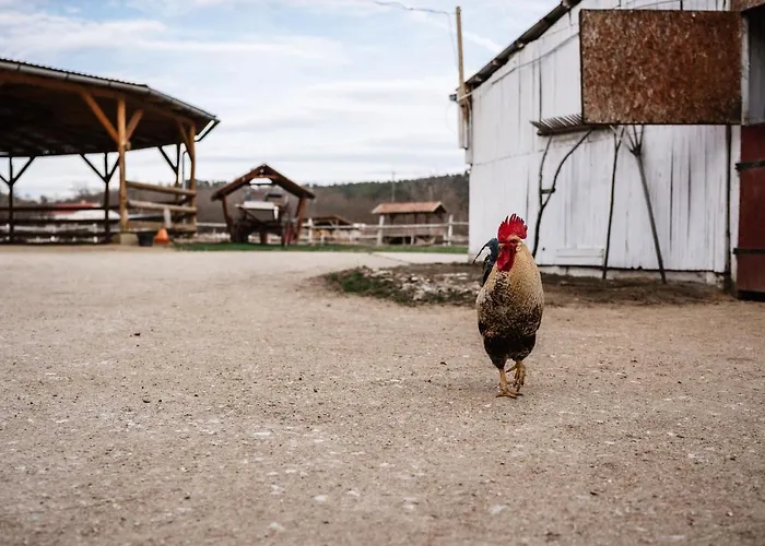 Boldizsar Lovas Haz Lägenhet Cserepfalu