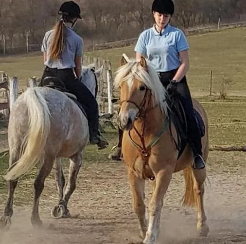 Lägenhet Boldizsar Lovas Haz